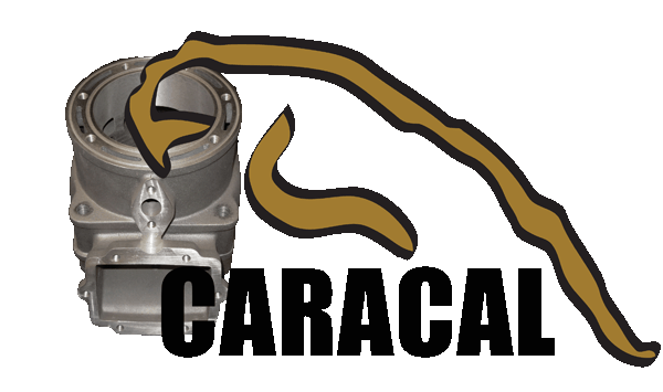 Caracal_logo