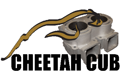 Cheetah_cub_logo_normal
