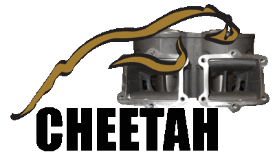 Cheetah_logo_normal