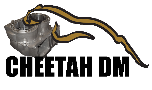 Cheetah_dm_logo
